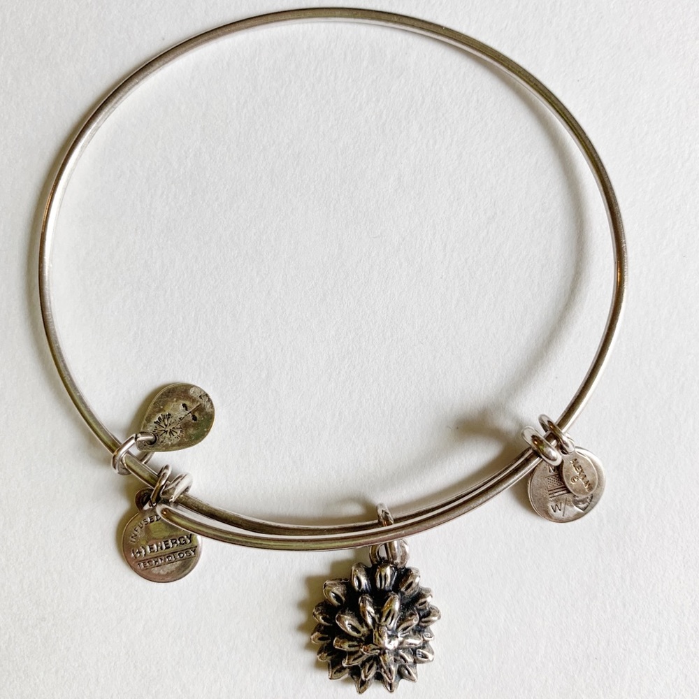 Alex and Ani Bracelet